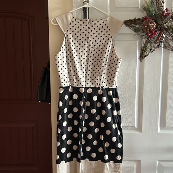 The Limited Dress - Picture 4 of 4